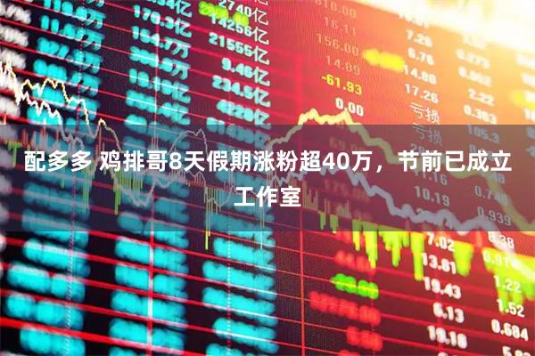 配多多 鸡排哥8天假期涨粉超40万，节前已成立工作室