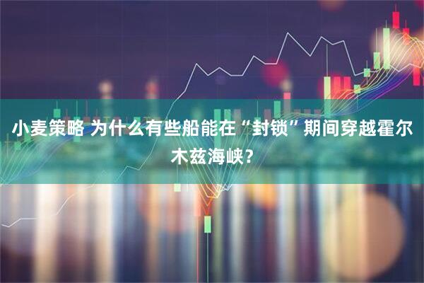 小麦策略 为什么有些船能在“封锁”期间穿越霍尔木兹海峡？