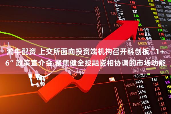 鸿牛配资 上交所面向投资端机构召开科创板“1+6”政策宣介会 聚焦健全投融资相协调的市场功能