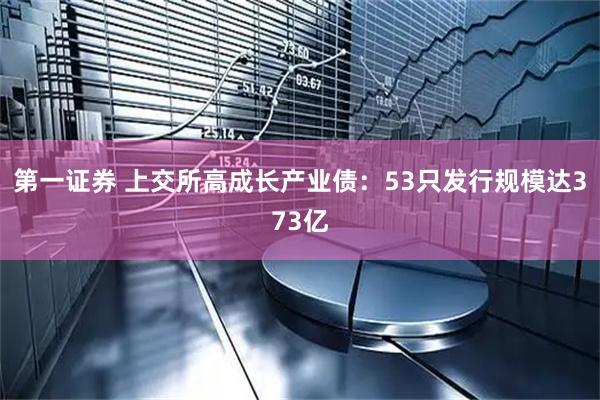 第一证券 上交所高成长产业债：53只发行规模达373亿