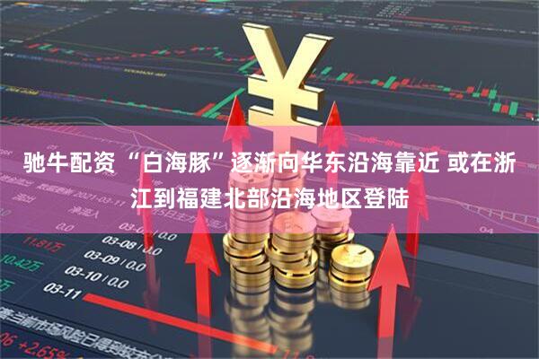 驰牛配资 “白海豚”逐渐向华东沿海靠近 或在浙江到福建北部沿海地区登陆